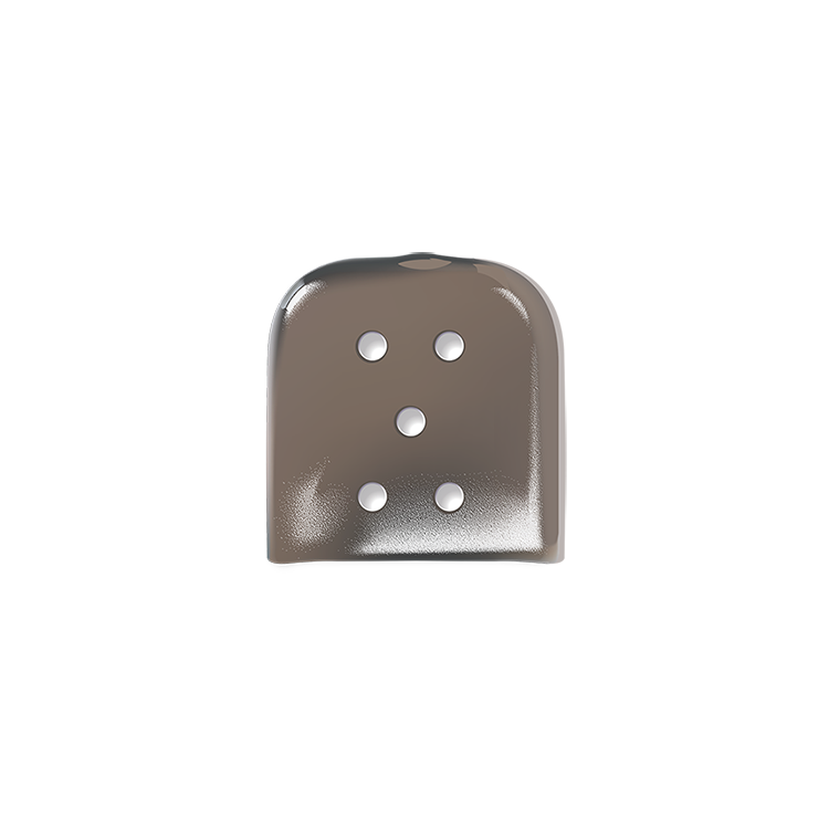 Tinted Black Vented Guard (1